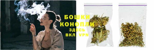 гидра Белокуриха