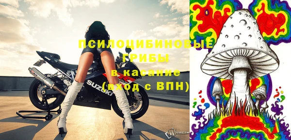 стаф Беломорск