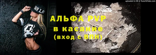 стаф Беломорск