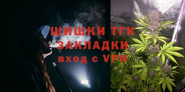 гидра Белокуриха
