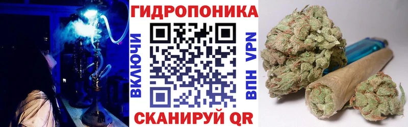 Конопля VHQ  наркота  Кузнецк 